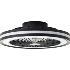 Ventilateur De Plafond Brilliant Palmero Noir, 1 Lumiere, Telecommandes, Changeur De Couleurs