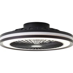 Ventilateur De Plafond Brilliant Palmero Noir, 1 Lumiere, Telecommandes, Changeur De Couleurs