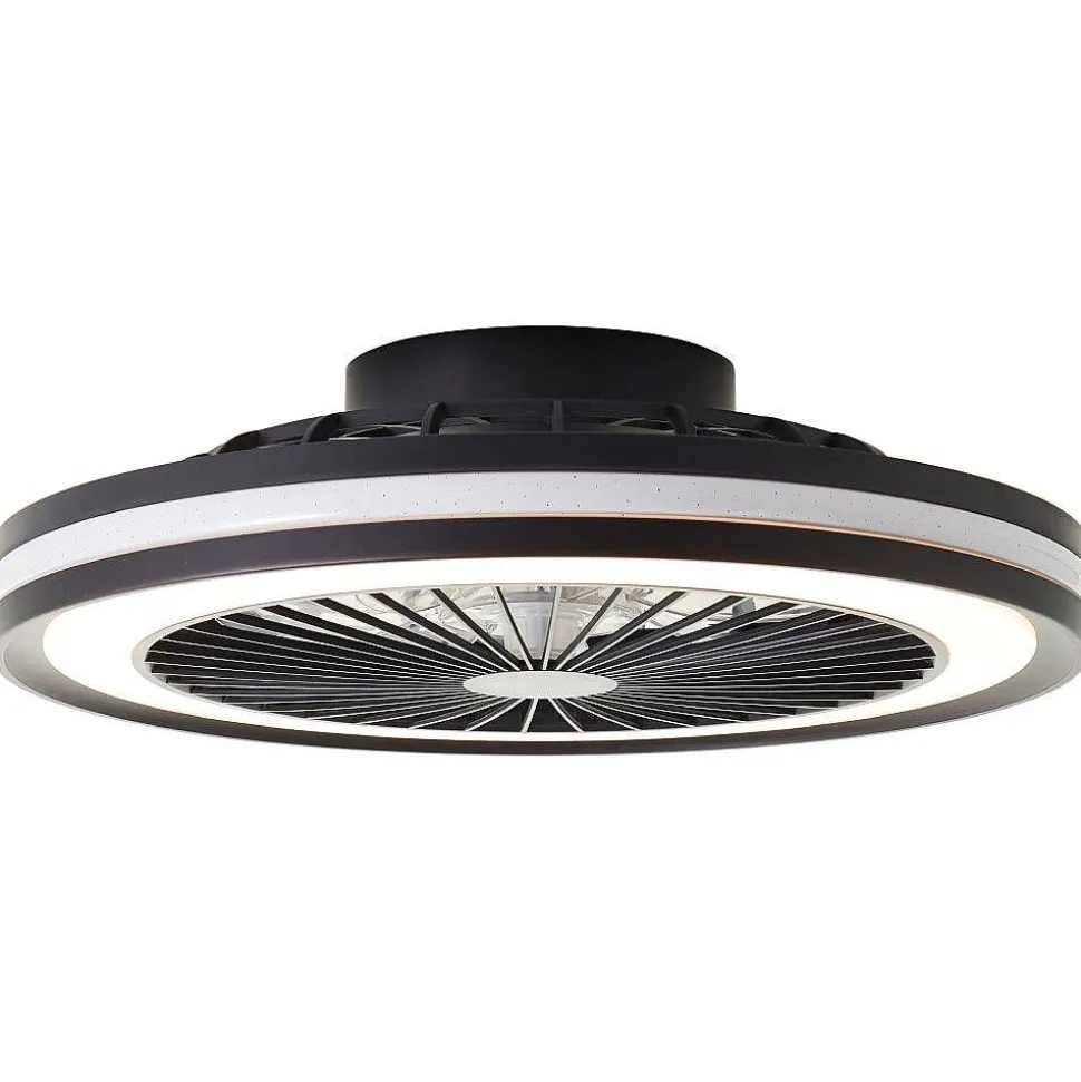 Ventilateur De Plafond Brilliant Palmero Noir, 1 Lumiere, Telecommandes, Changeur De Couleurs