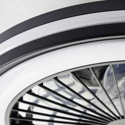 Ventilateur De Plafond Brilliant Palmero Noir, 1 Lumiere, Telecommandes, Changeur De Couleurs