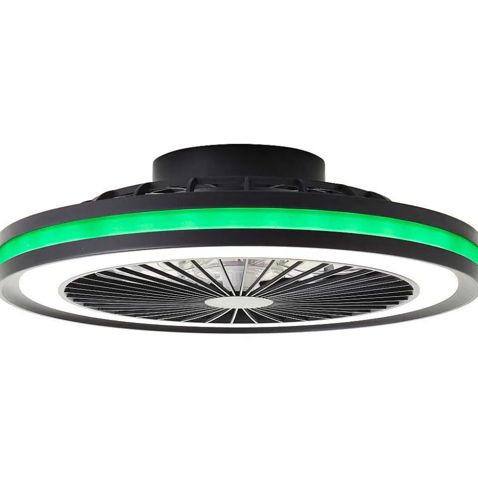 Ventilateur De Plafond Brilliant Palmero Noir, 1 Lumiere, Telecommandes, Changeur De Couleurs