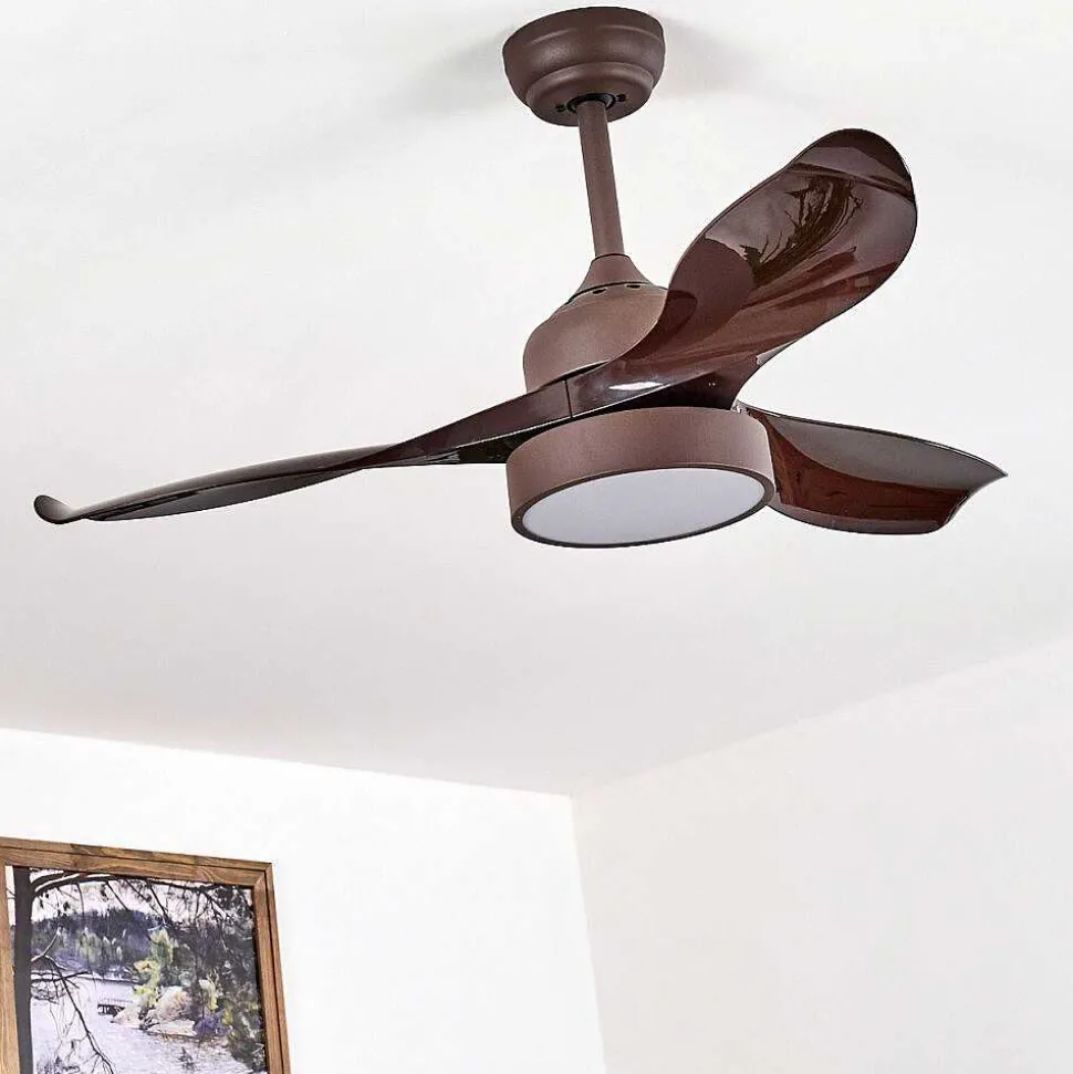 Ventilateur De Plafond Doha Led Brun, 1 Lumiere, Telecommandes