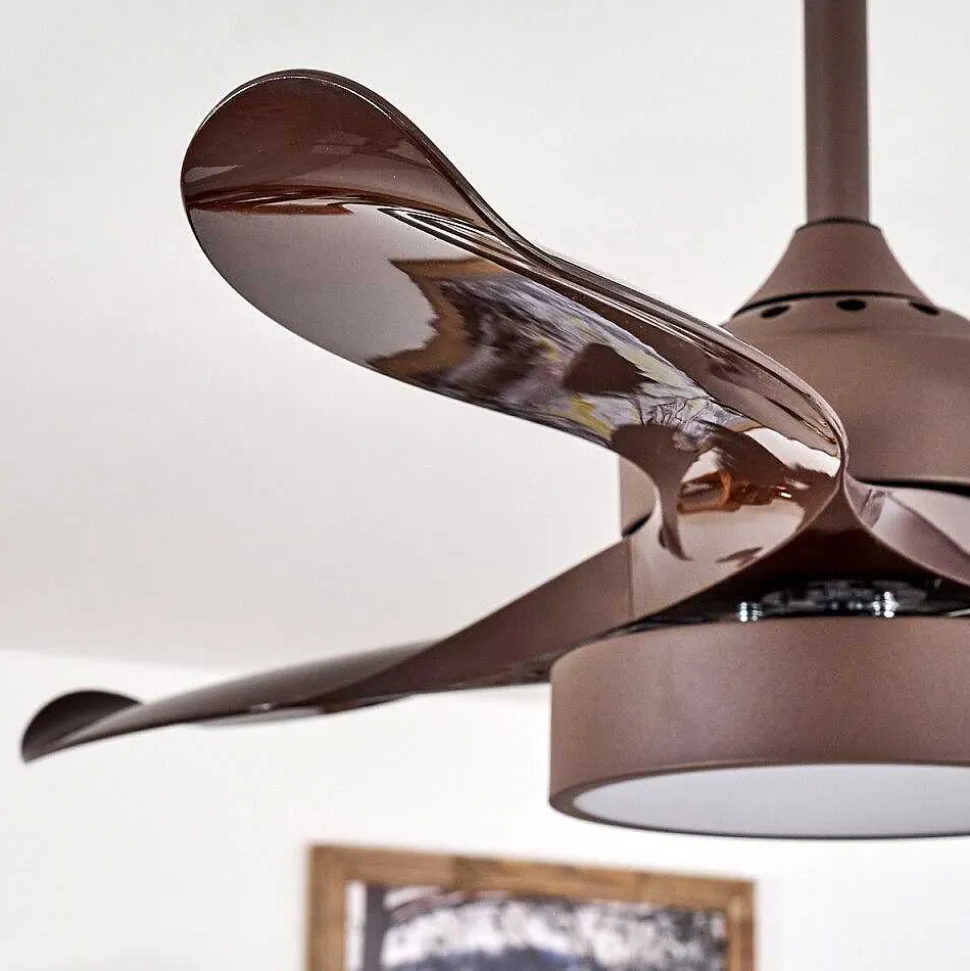 Ventilateur De Plafond Doha Led Brun, 1 Lumiere, Telecommandes