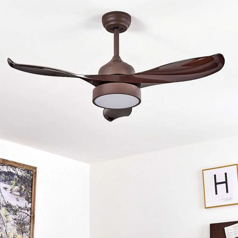 Ventilateur De Plafond Doha Led Brun, 1 Lumiere, Telecommandes