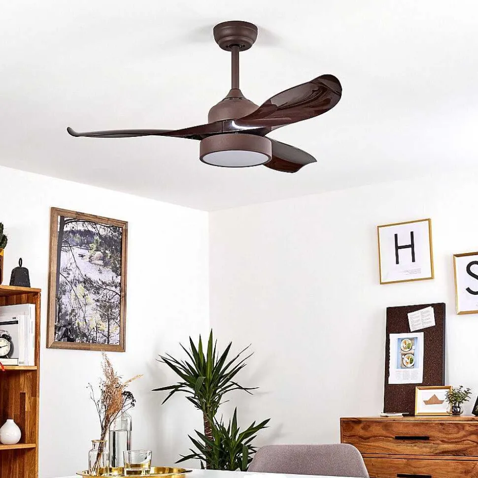 Ventilateur De Plafond Doha Led Brun, 1 Lumiere, Telecommandes