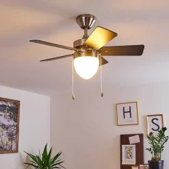 Ventilateur De Plafond Ellmau Chrome, Gris, Blanc, 1 Lumiere