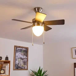 Ventilateur De Plafond Ellmau Chrome, Gris, Blanc, 1 Lumiere