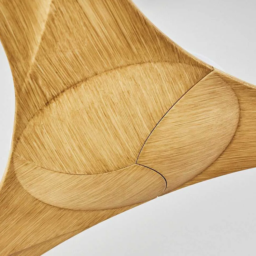 Ventilateur De Plafond Follseland Brun Clair, Couleur Bois, Blanc, Telecommandes