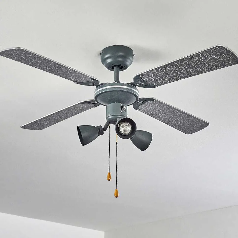 Ventilateur De Plafond Marigliano Gris, Argente