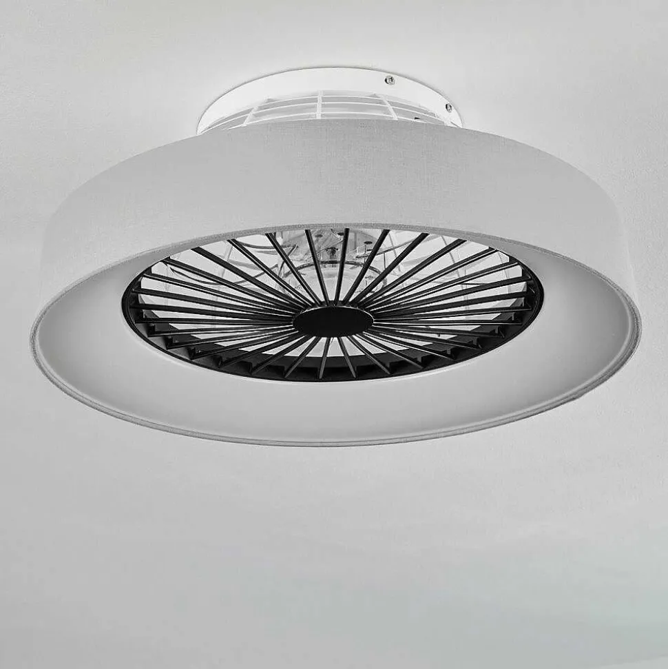 Ventilateur De Plafond Moli Led Gris, Blanc, 1 Lumiere, Telecommandes