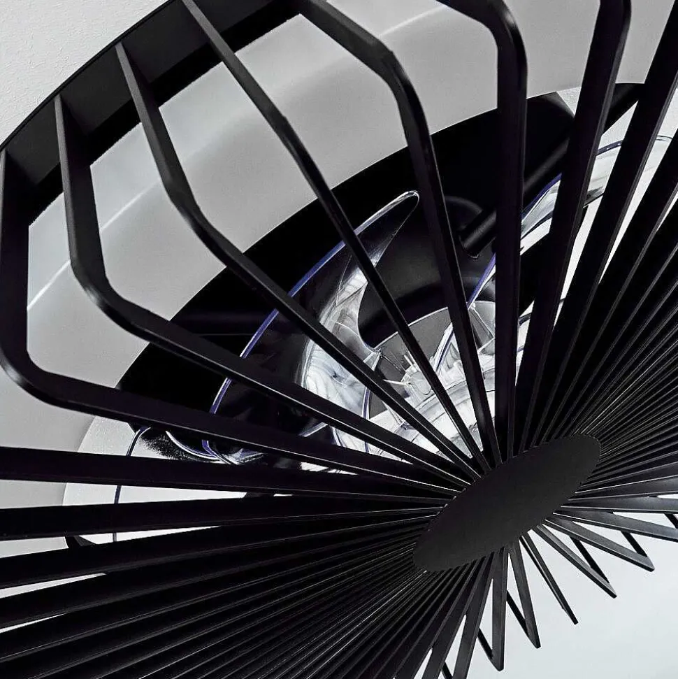 Ventilateur De Plafond Rivarotta Led Blanc, 1 Lumiere, Telecommandes