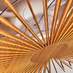 Ventilateur De Plafond Rivarotta Led Blanc, 1 Lumiere, Telecommandes