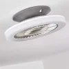 Ventilateur De Plafond Somalia Led Argente, Transparent, 1 Lumiere