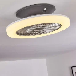 Ventilateur De Plafond Somalia Led Argente, Transparent, 1 Lumiere