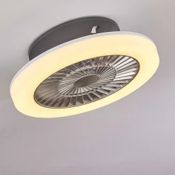 Ventilateur De Plafond Somalia Led Argente, Transparent, 1 Lumiere