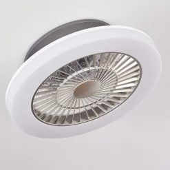 Ventilateur De Plafond Somalia Led Argente, Transparent, 1 Lumiere