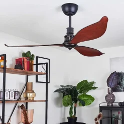 Ventilateur De Plafond Torgnes Brun, Couleur Bois, Noir, Telecommandes