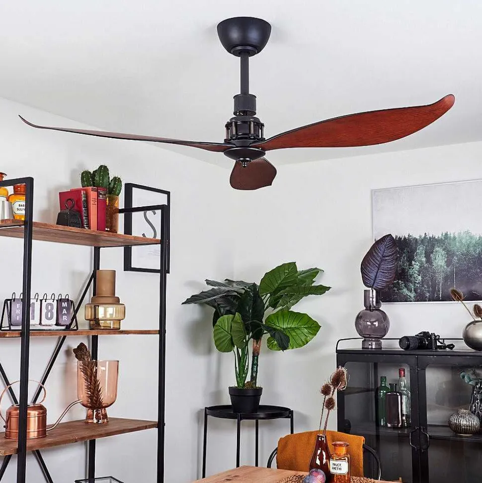 Ventilateur De Plafond Torgnes Brun, Couleur Bois, Noir, Telecommandes