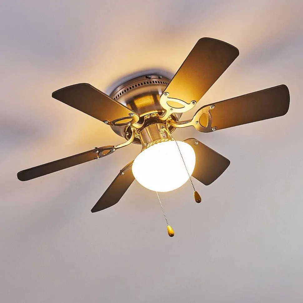 Ventilateur De Plafond Trillo Gris, Bois Clair, Nickel Mat, 1 Lumiere