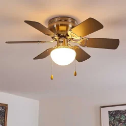 Ventilateur De Plafond Trillo Nickel Mat, 1 Lumiere