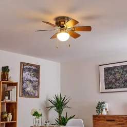 Ventilateur De Plafond Trillo Nickel Mat, 1 Lumiere