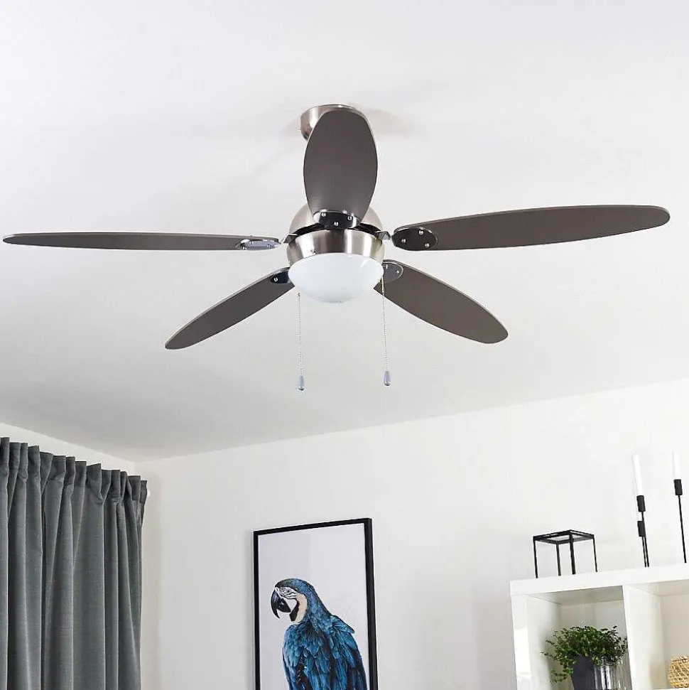 Ventilateur De Plafond Valeria Chrome, Bois Clair, Nickel Mat, 1 Lumiere