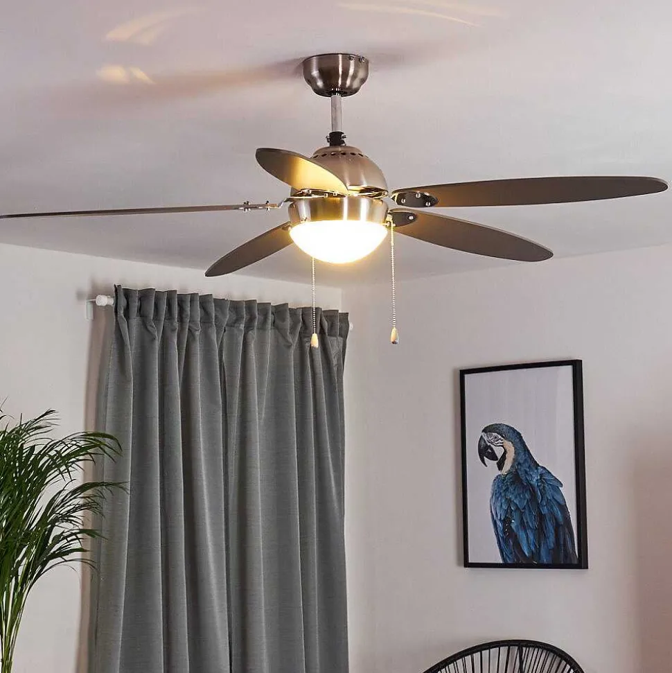 Ventilateur De Plafond Valeria Chrome, Bois Clair, Nickel Mat, 1 Lumiere