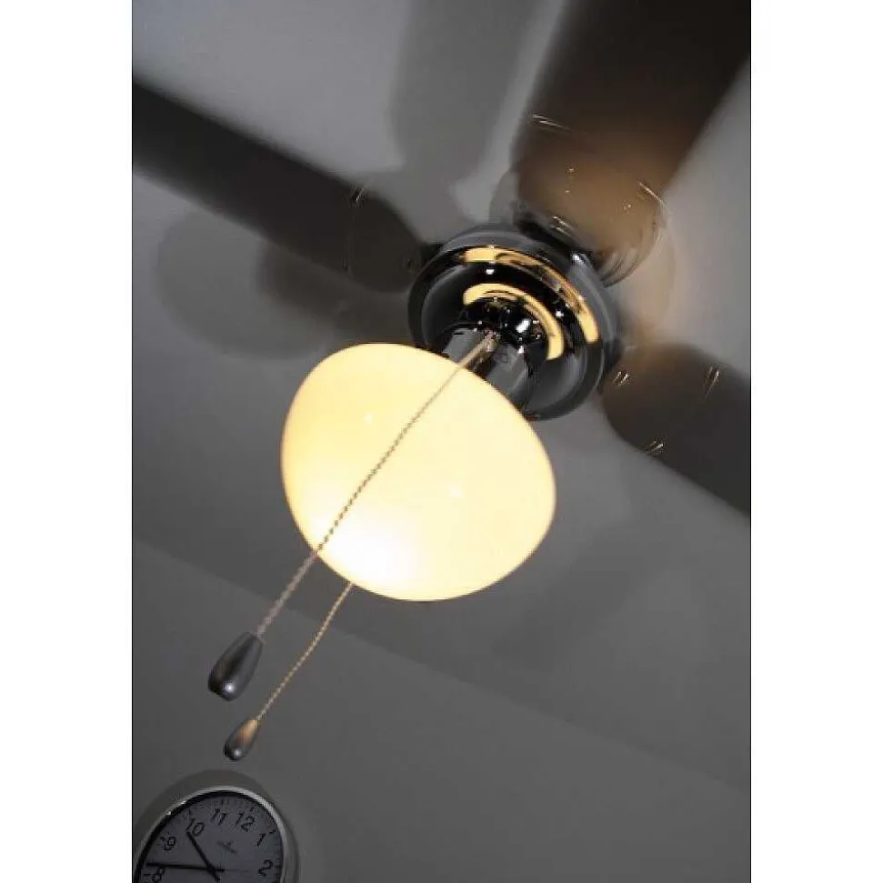 Ventilateur Globo Champion Chrome, Acier Inoxydable, Blanc, 1 Lumiere