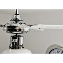 Ventilateur Globo Champion Chrome, Acier Inoxydable, Blanc, 1 Lumiere