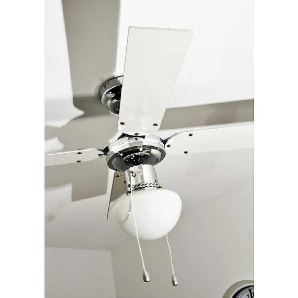 Ventilateur Globo Champion Chrome, Acier Inoxydable, Blanc, 1 Lumiere