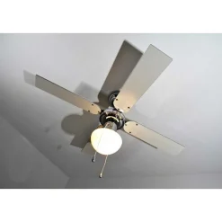 Ventilateur Globo Champion Chrome, Acier Inoxydable, Blanc, 1 Lumiere