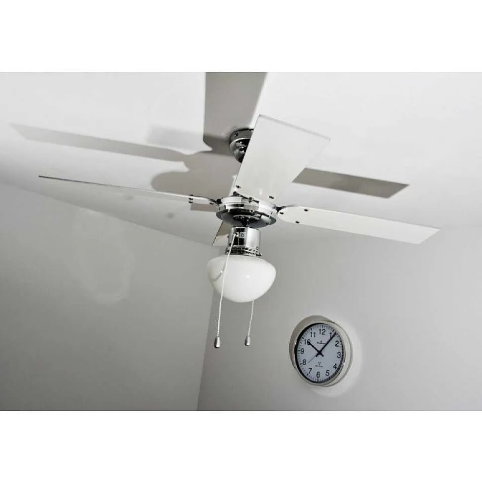 Ventilateur Globo Champion Chrome, Acier Inoxydable, Blanc, 1 Lumiere