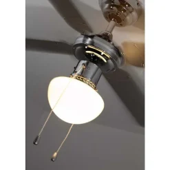 Ventilateur Globo Champion Chrome, Acier Inoxydable, Blanc, 1 Lumiere