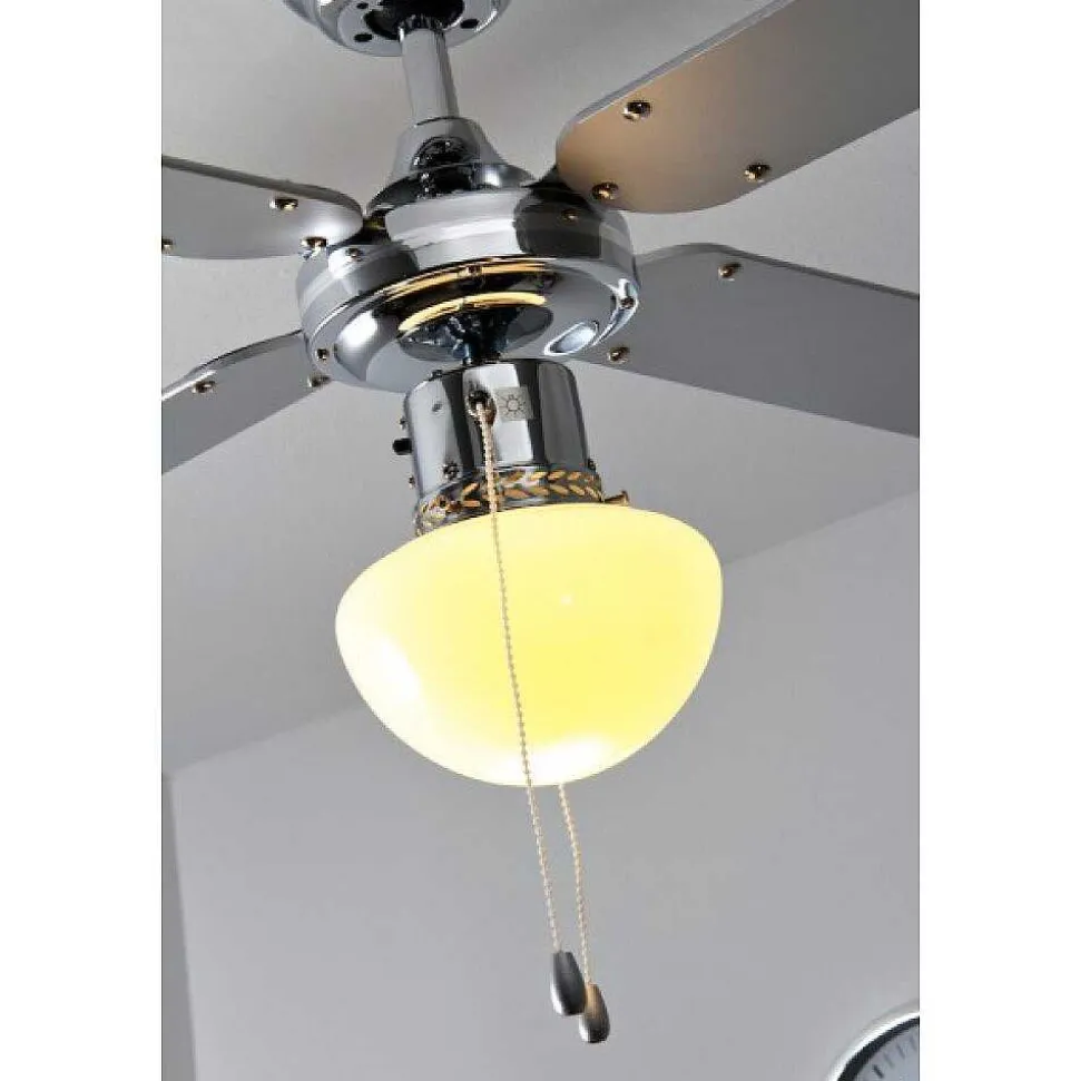 Ventilateur Globo Champion Chrome, Acier Inoxydable, Blanc, 1 Lumiere