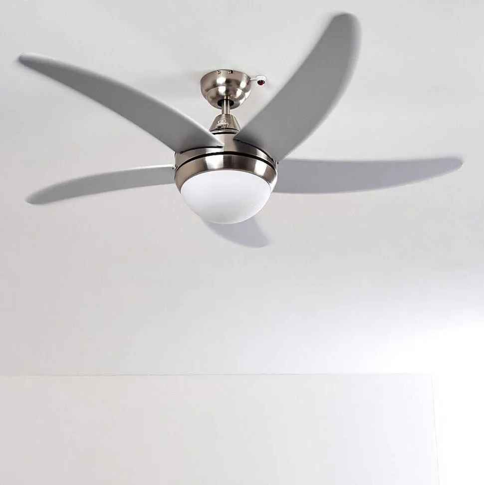 Ventilateurs De Plafond Morino Nickel Mat, Argente, 2 Lumieres, Telecommandes
