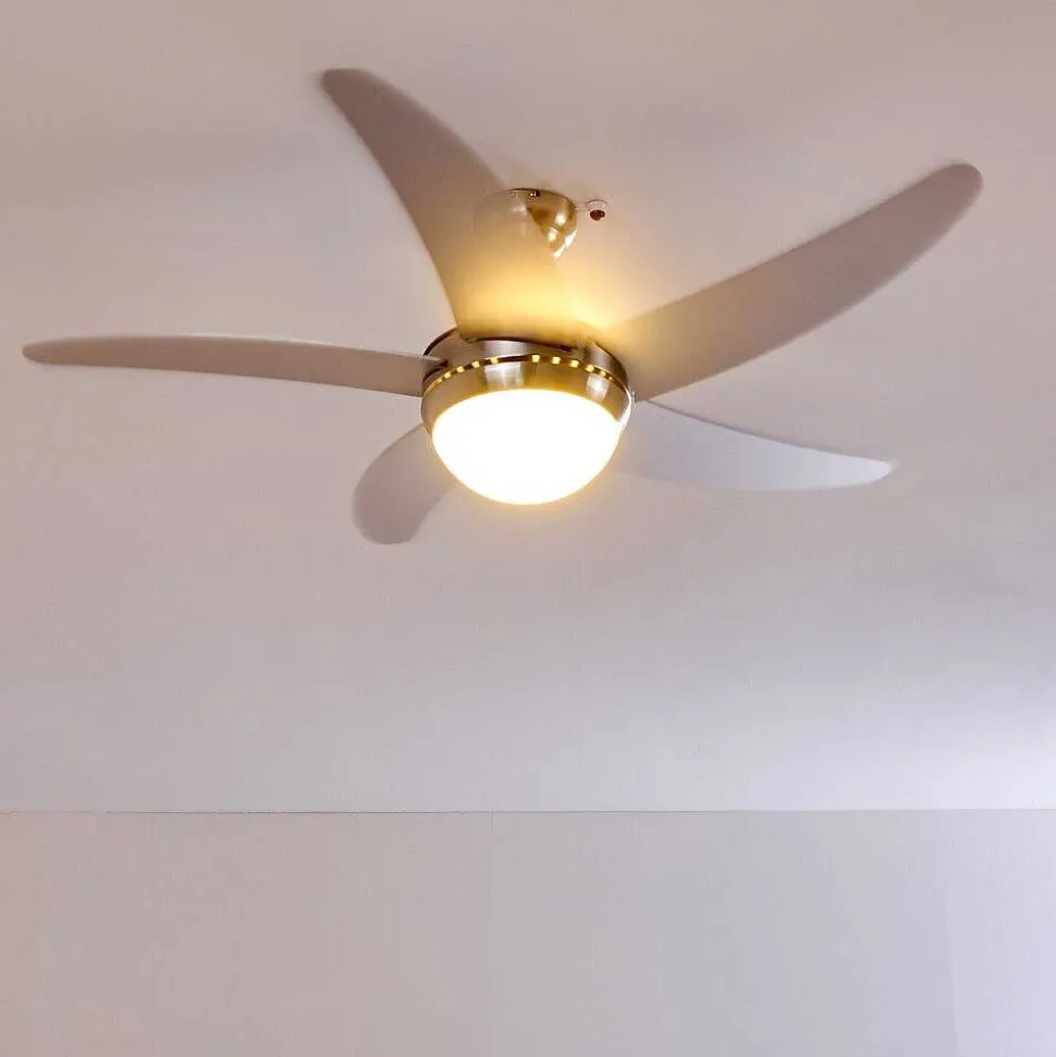 Ventilateurs De Plafond Morino Nickel Mat, Argente, 2 Lumieres, Telecommandes