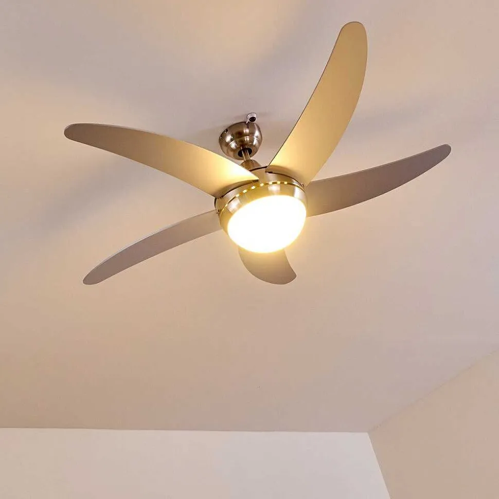 Ventilateurs De Plafond Morino Nickel Mat, Argente, 2 Lumieres, Telecommandes